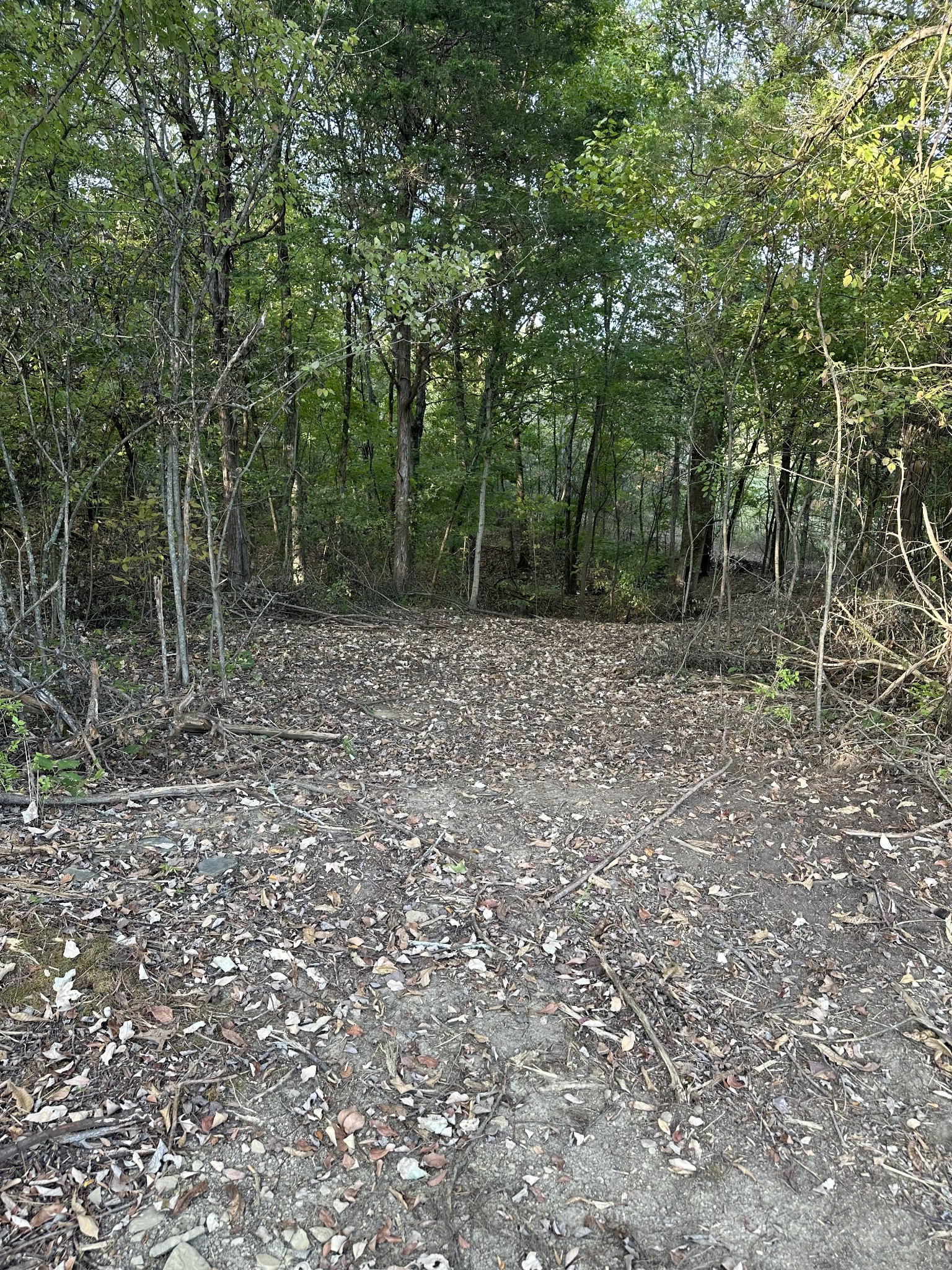 1775 Cooks Road Mount Juliet, TN 37122 - Photo 19 of 21 a view of outdoor space with green space