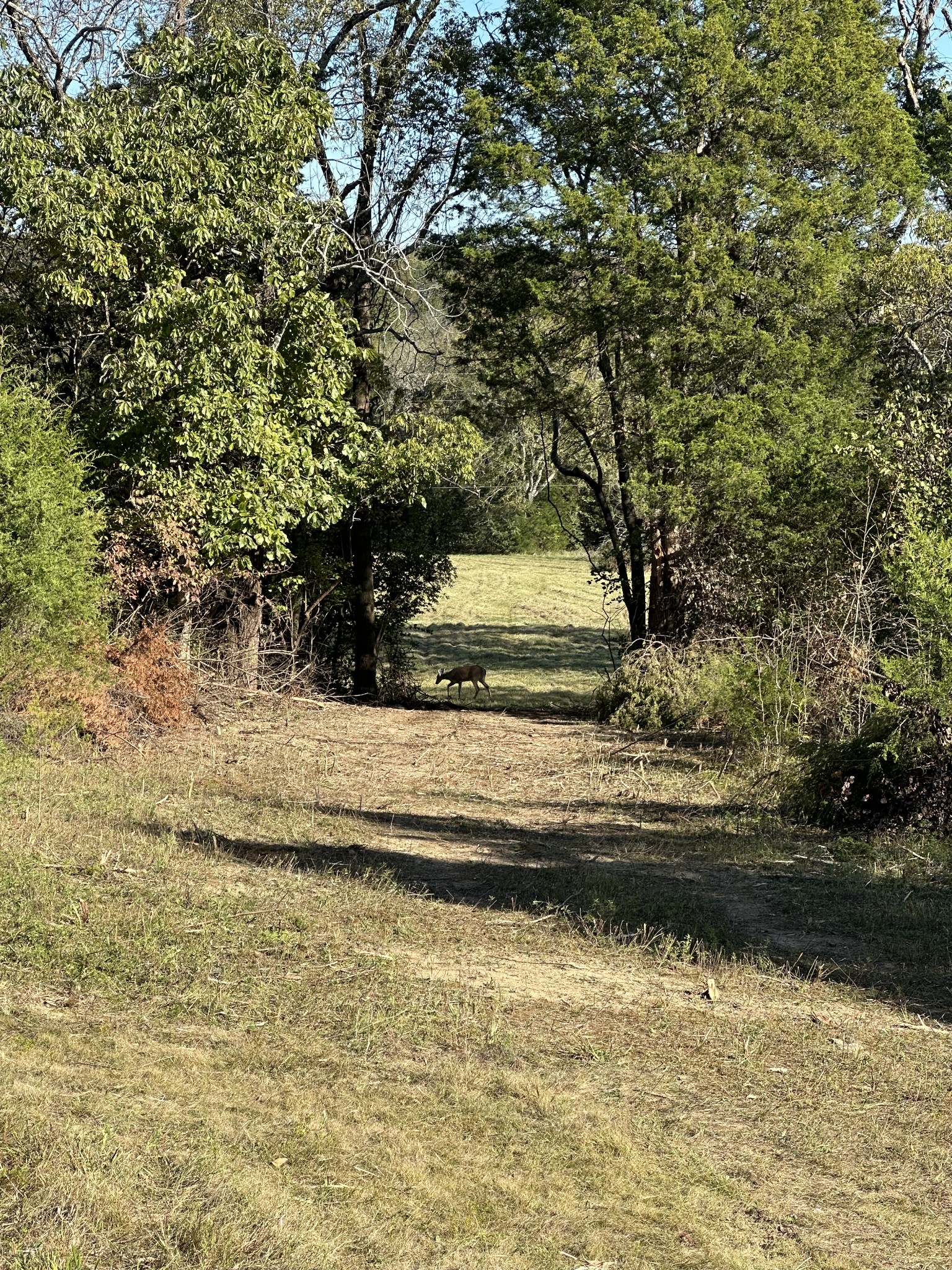 1775 Cooks Road Mount Juliet, TN 37122 - Photo 20 of 21