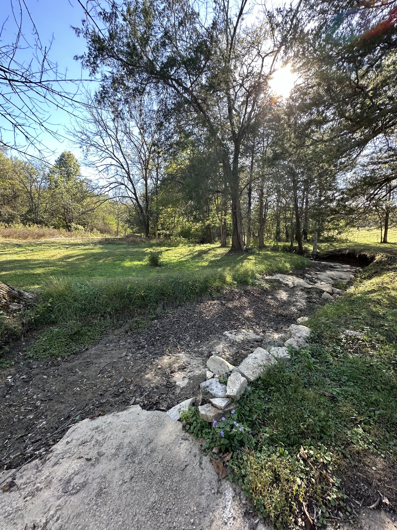 1775 Cooks Road Mount Juliet, TN 37122 - Photo 10 of 21 a view of a yard with plants and large trees
