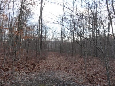 Anderson Estates Road Lewisburg, WV 24901 - Photo 1 of 17 Gallery Image 1