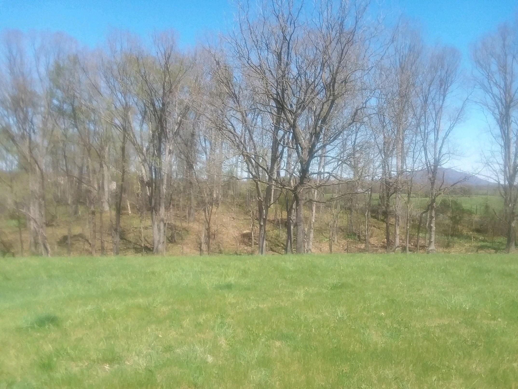 0 Timber Ridge Road East Mount Crawford, VA 22841 - Photo 1 of 7 a backyard of a house with lots of green space