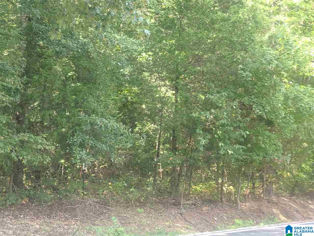 0 Old Broadwell Mill Road Jacksonville, AL 36265 - Photo 16 of 22