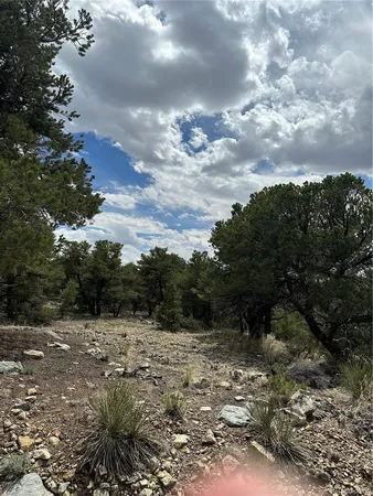 a view of backyard with green space