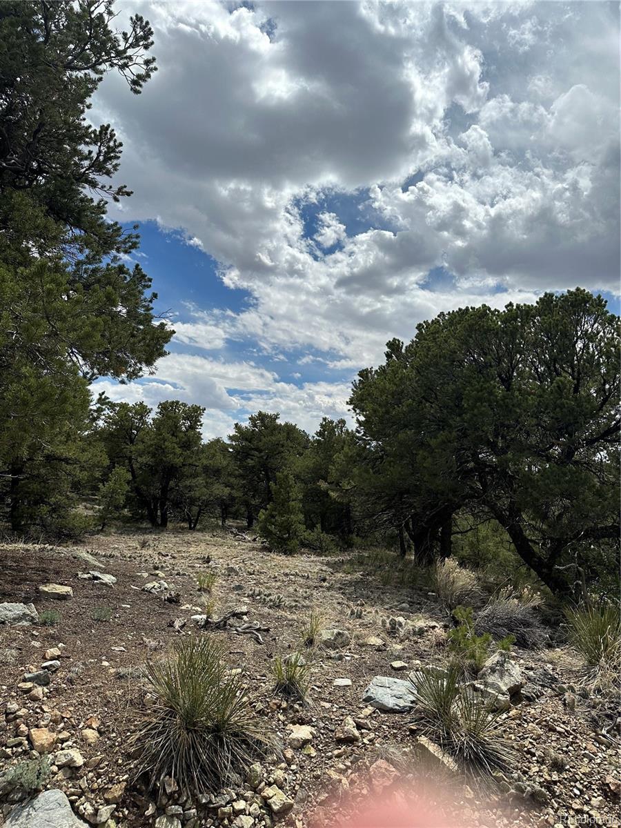 158 Cedar Ridge Road Mosca, CO 81146 - Photo 2 of 5 a view of backyard with green space