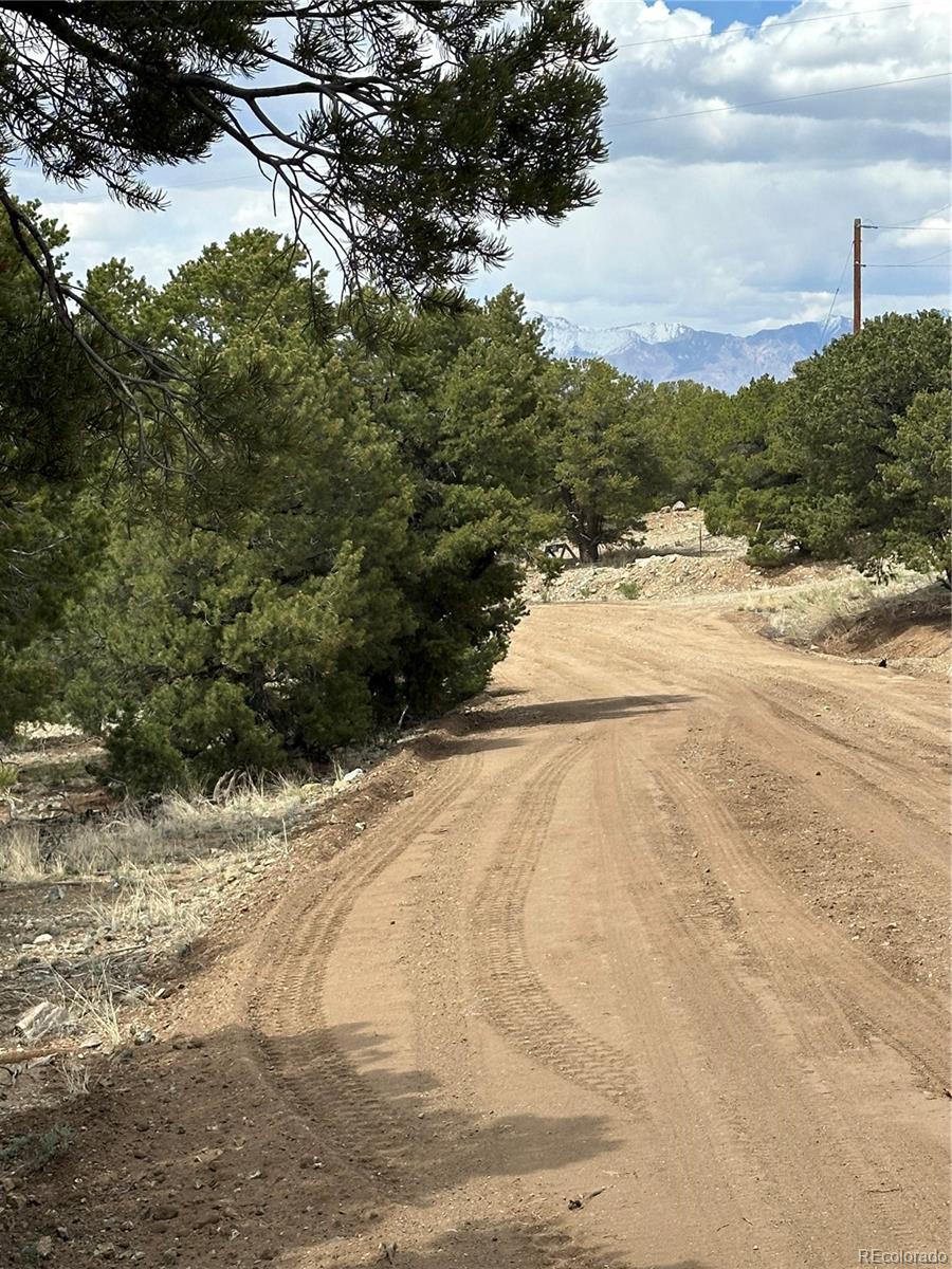 158 Cedar Ridge Road Mosca, CO 81146 - Photo 5 of 5 a view of a yard of the house