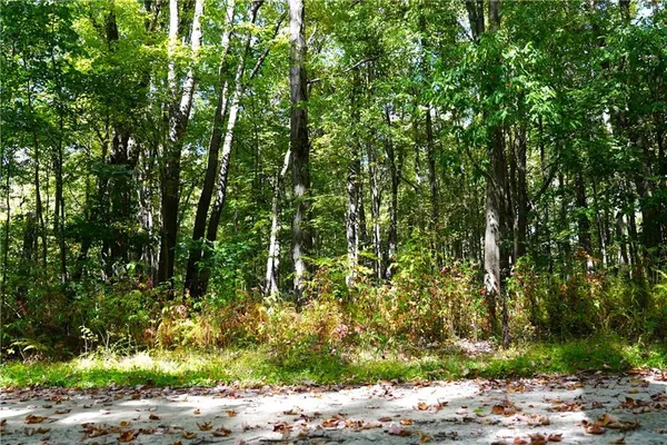 a backyard of a house with a tree
