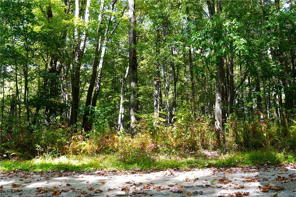 - Maple Lane Jamestown, PA 16134 - Photo 2 of 6 a backyard of a house with a tree