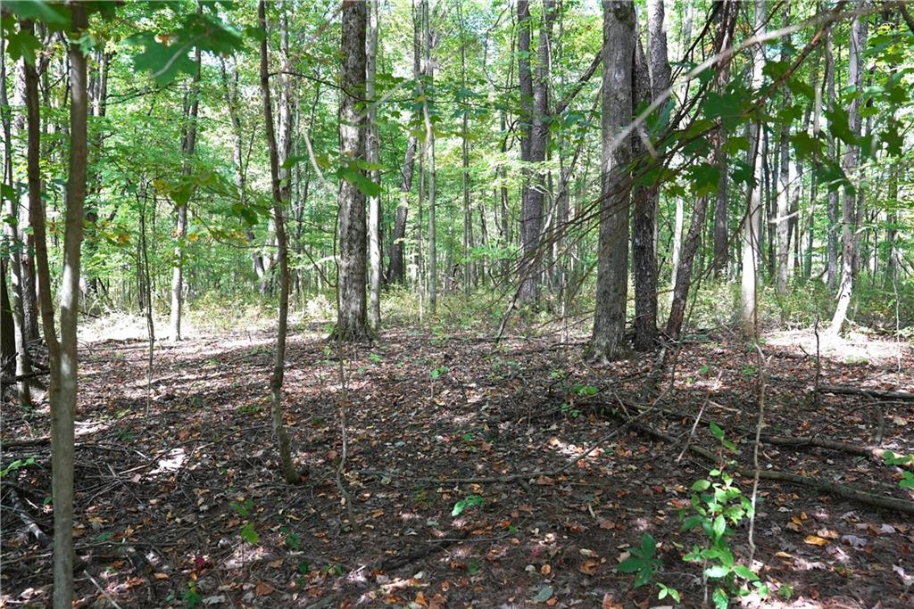 - Maple Lane Jamestown, PA 16134 - Photo 4 of 4