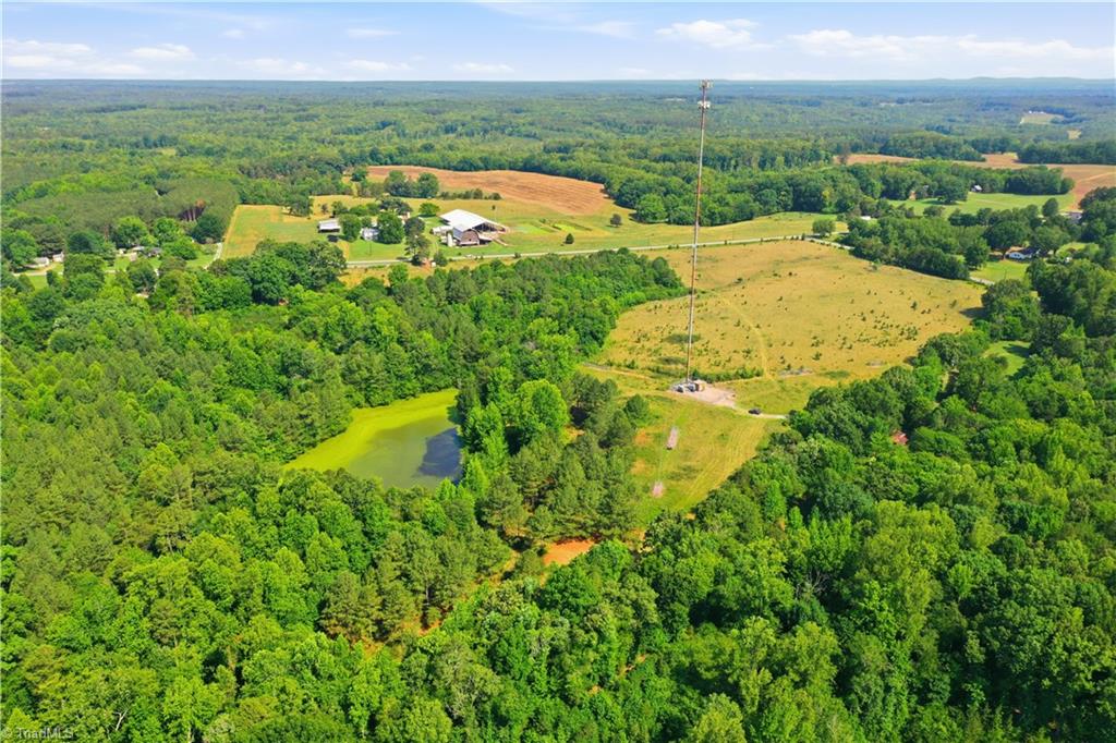 1791 County Home Road Blanch, NC 27212 - Photo 9 of 17 Gallery Image 9
