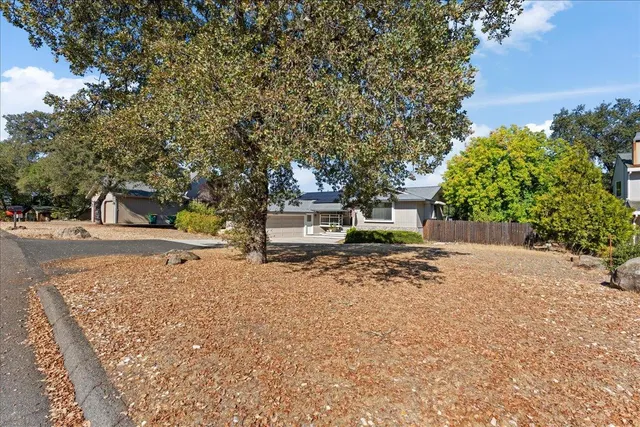 a view of a yard with plants and trees