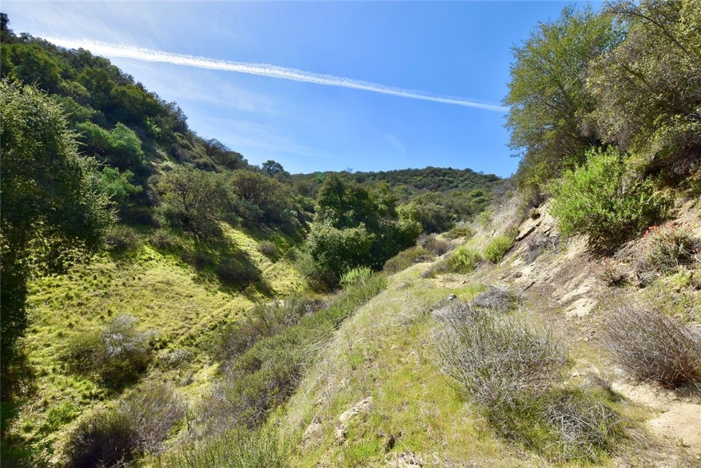 74921 Copperhead Road Bradley, CA 93426 - Photo 12 of 20 a view of a yard