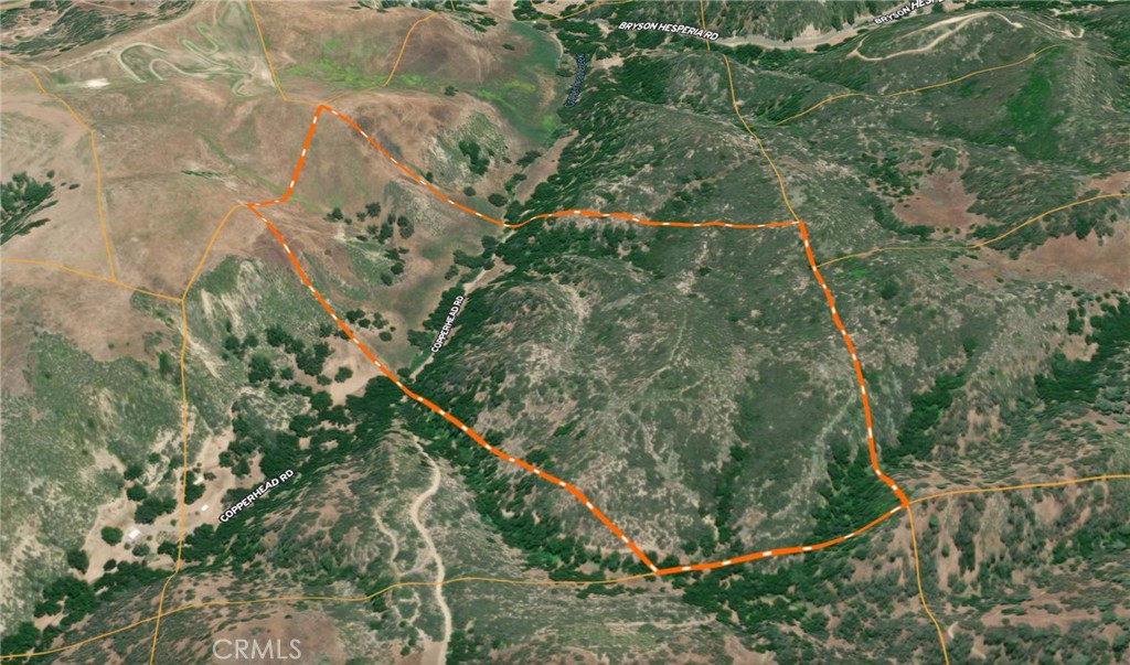 74921 Copperhead Road Bradley, CA 93426 - Photo 16 of 20 a view of a forest