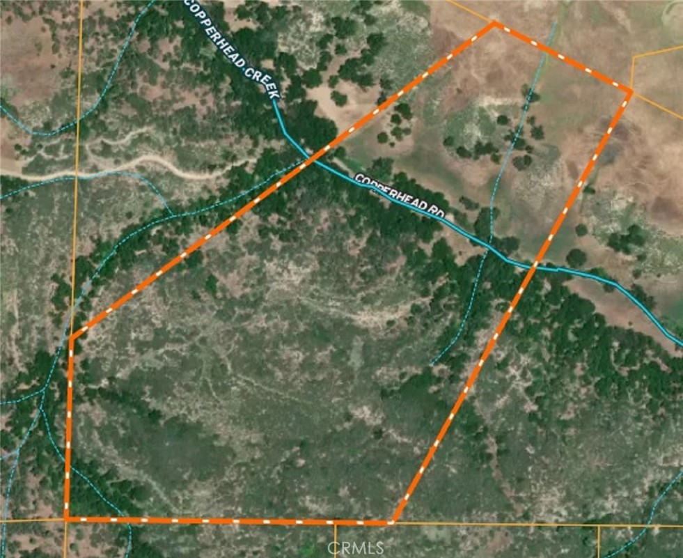 74921 Copperhead Road Bradley, CA 93426 - Photo 17 of 20 a view of a forest