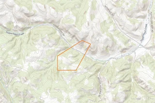 a black and white photo of a picture