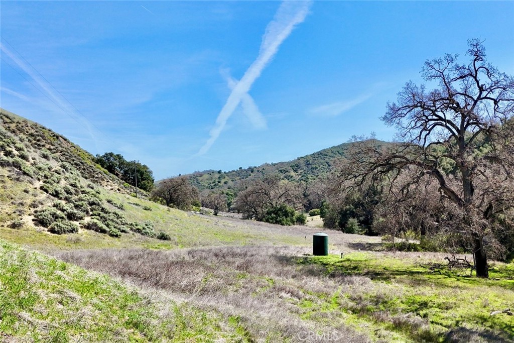 74921 Copperhead Road Bradley, CA 93426 - Photo 3 of 20 a view of a field with a tree in the background