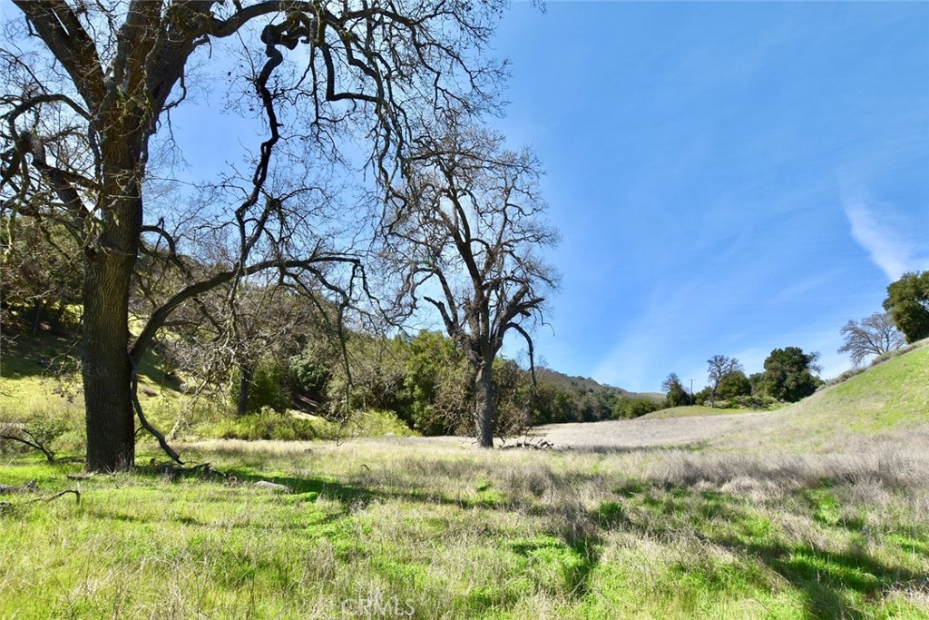 74921 Copperhead Road Bradley, CA 93426 - Photo 4 of 20 a view of backyard with tree