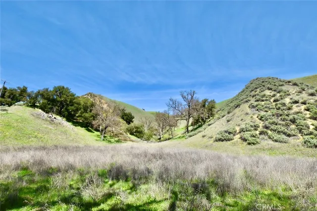 a view of a field with a tree