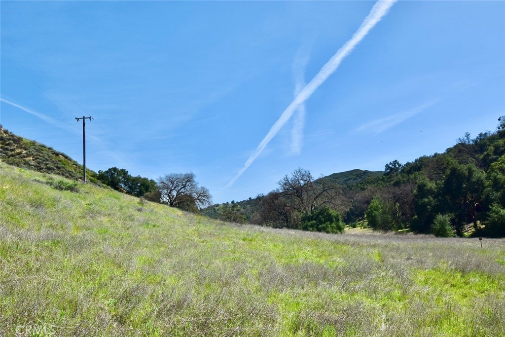 74921 Copperhead Road Bradley, CA 93426 - Photo 7 of 20 a view of a yard with a tree