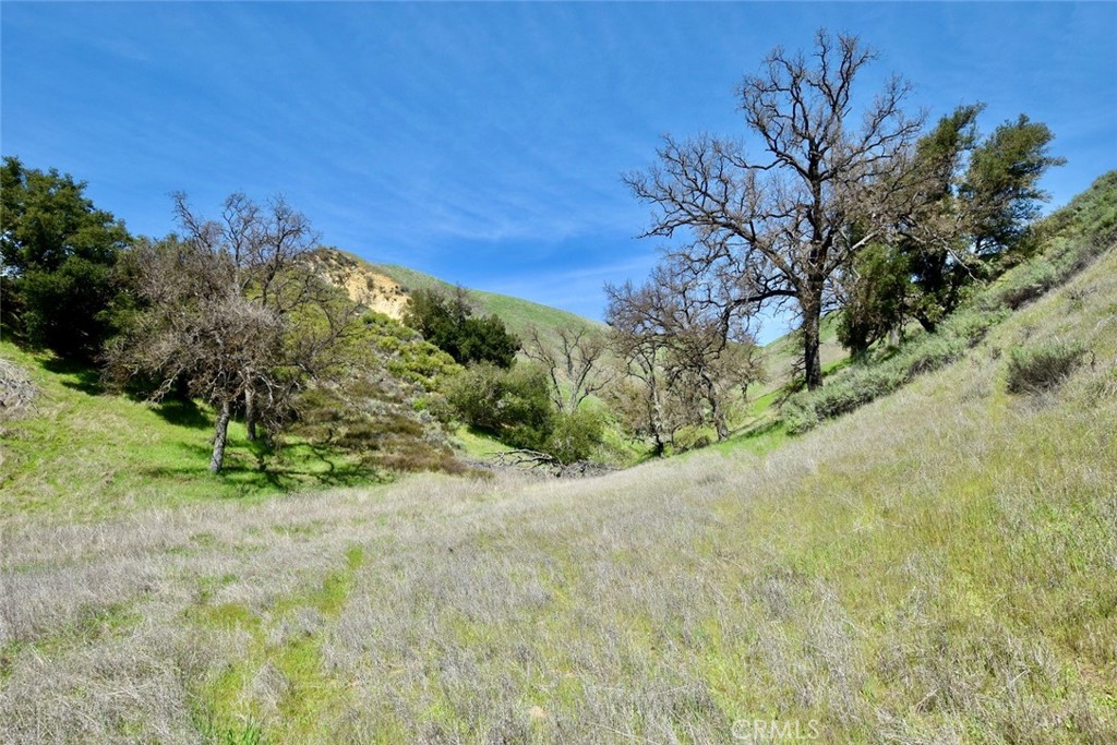 74921 Copperhead Road Bradley, CA 93426 - Photo 8 of 20 a view of a yard with a tree