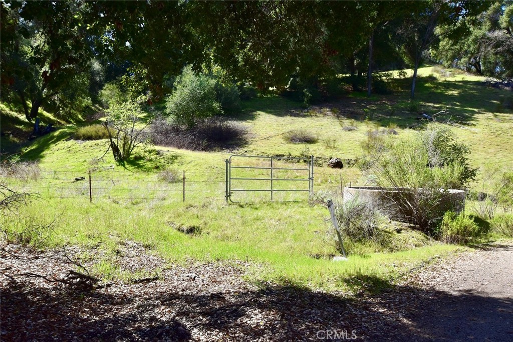 74921 Copperhead Road Bradley, CA 93426 - Photo 10 of 20 a view of yard with green space