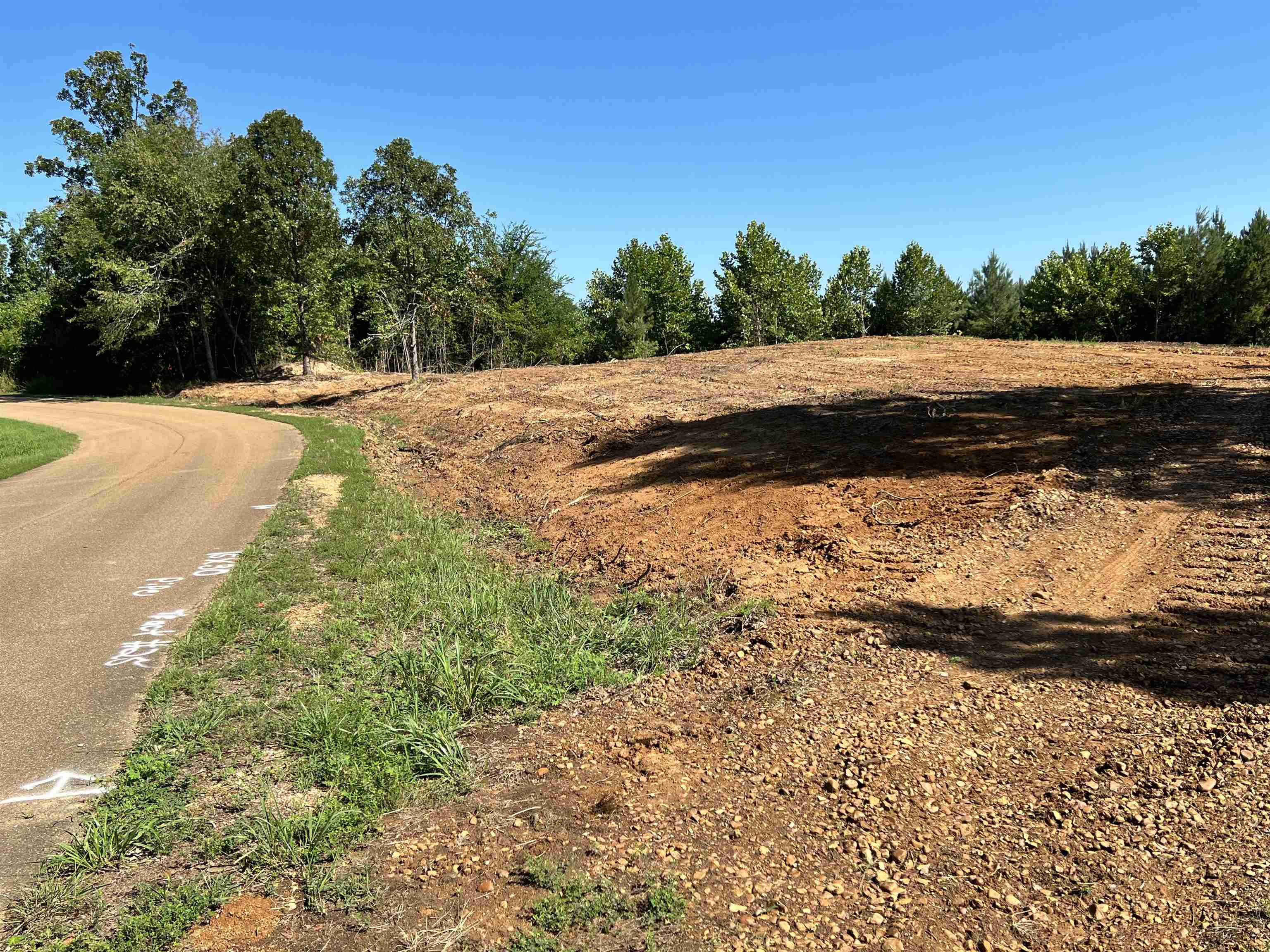 0 Big Springs Road Medon, TN 38356 - Photo 5 of 7 a view of a pathway with a yard