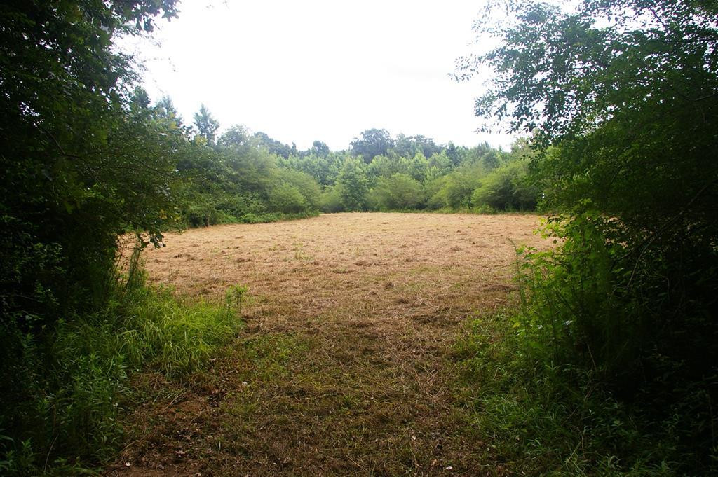 Xxx Brown Road Smithdale, MS 39664 - Photo 1 of 1 Main View