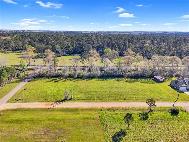 Lot 1-3 Old Union Road Franklinton, LA 70438 - Photo 3 of 7