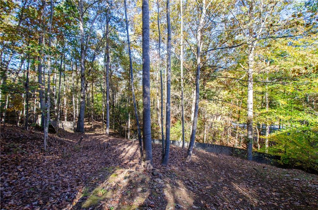 2470 Cambridge Hills Road Cumming, GA 30041 - Photo 40 of 42