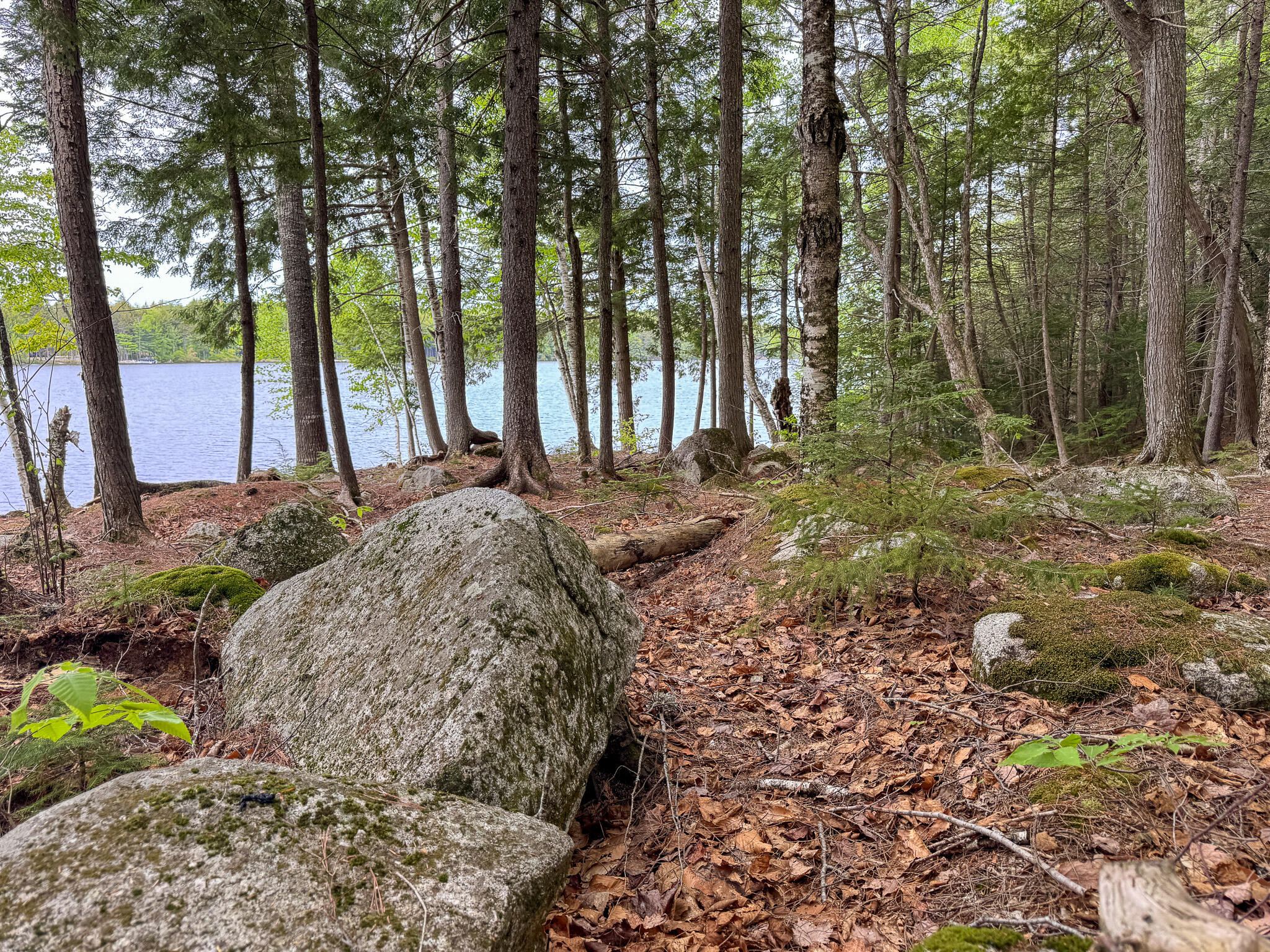 1740 Houston Road Lincoln, ME 04457 - Photo 10 of 27 10