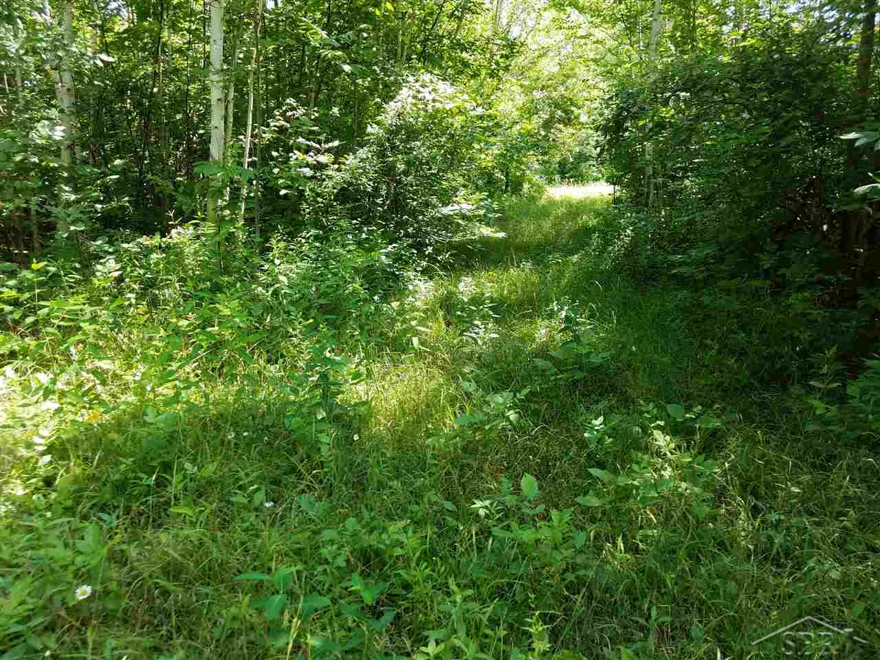 5520 Rossman Road Kingston, MI 48741 - Photo 50 of 71 Gallery Image 50