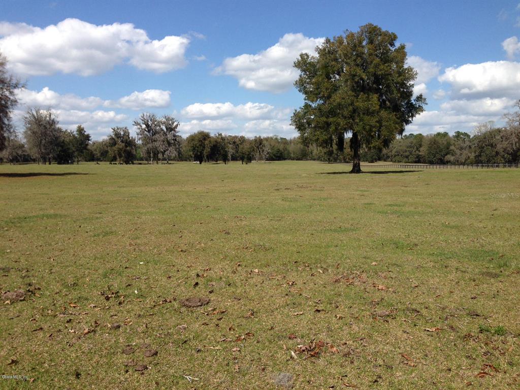 0 Northwest 95th Street Anthony, FL 32617 - Photo 3 of 14 a view of a yard