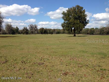 0 Northwest 95th Street Anthony, FL 32617 - Photo 5 of 14 a view of a yard