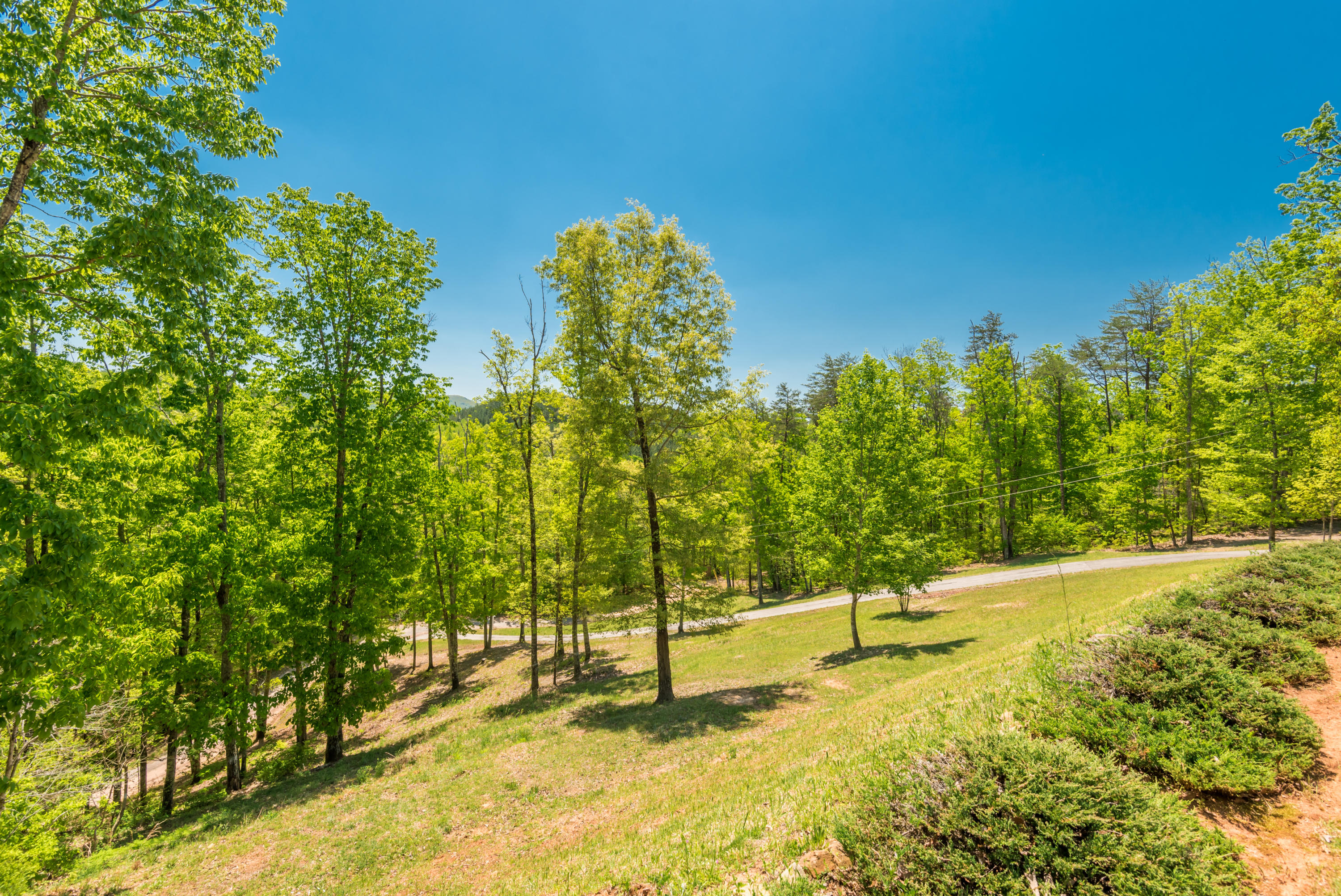 757 Three Point Road Vonore, TN 37885 - Photo 27 of 33 Privacy