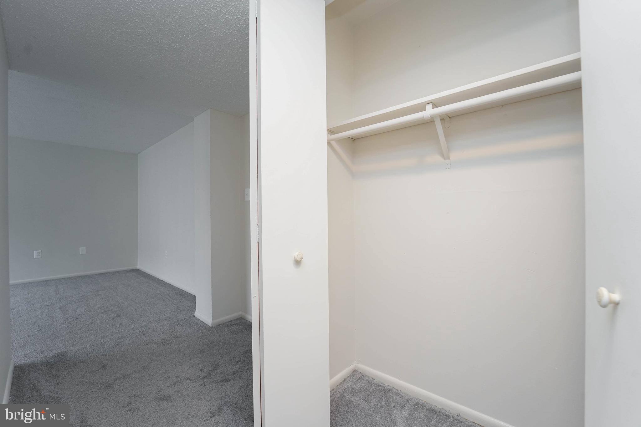 1822 Metzerott Road, Unit 308 Hyattsville, MD 20783 - Photo 13 of 21 Hall Closet