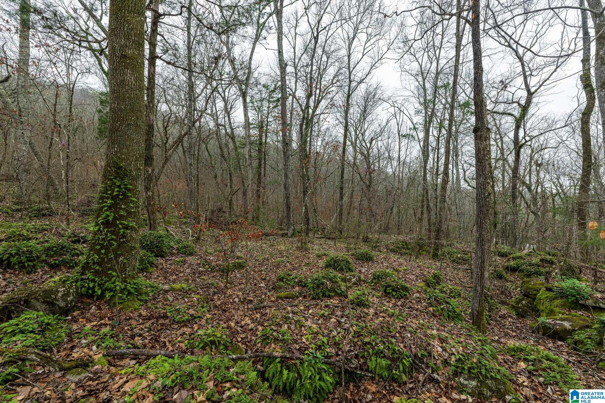 0 Valley Trail, Unit 496 Warrior, AL 35180 - Photo 11 of 31