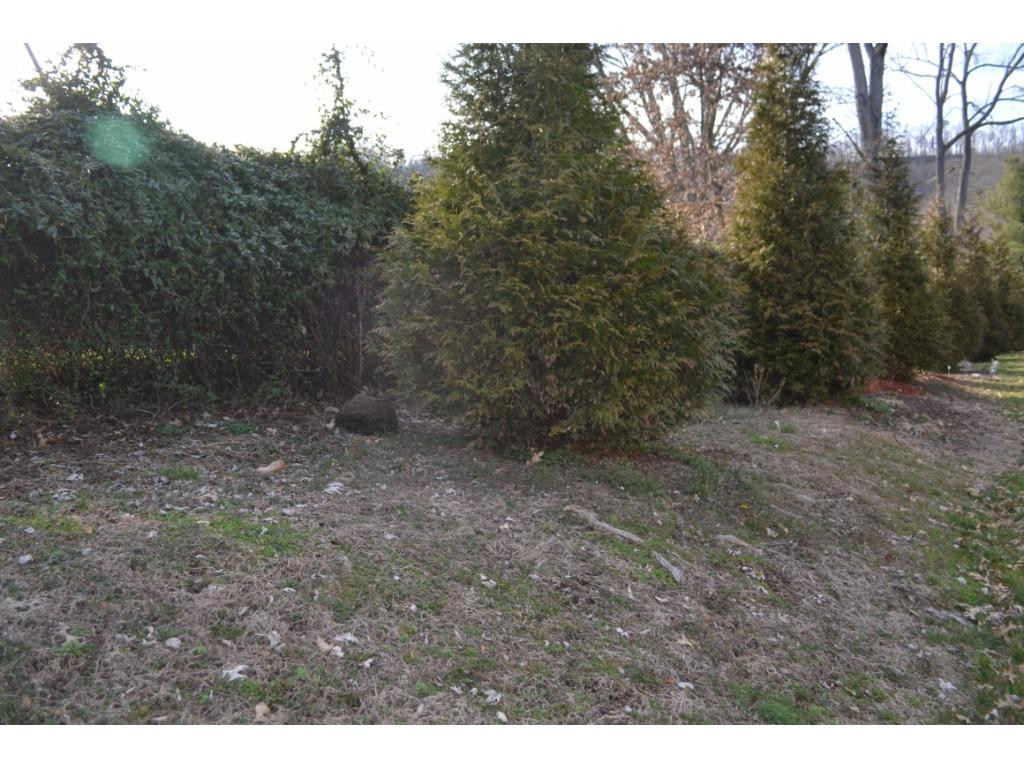547 Hickory Road, Unit 547 Bristol, TN 37620 - Photo 7 of 15 END UNIT Backyard