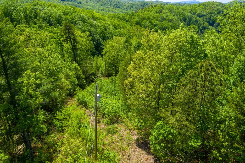 0 Henry Town Road Sevierville, TN 37876 - Photo 2 of 38 Gallery Image 2
