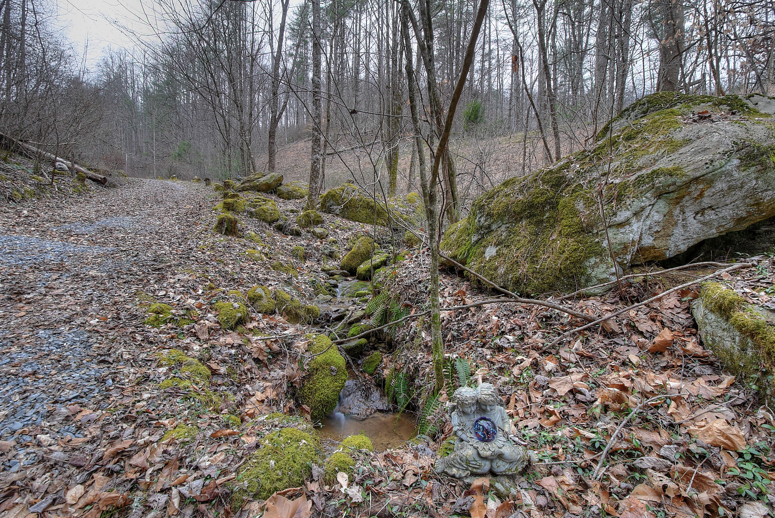 468 Coffee Ridge Road Erwin, TN 37650 - Photo 69 of 79 DSC_0634_5_6_7_8_9
