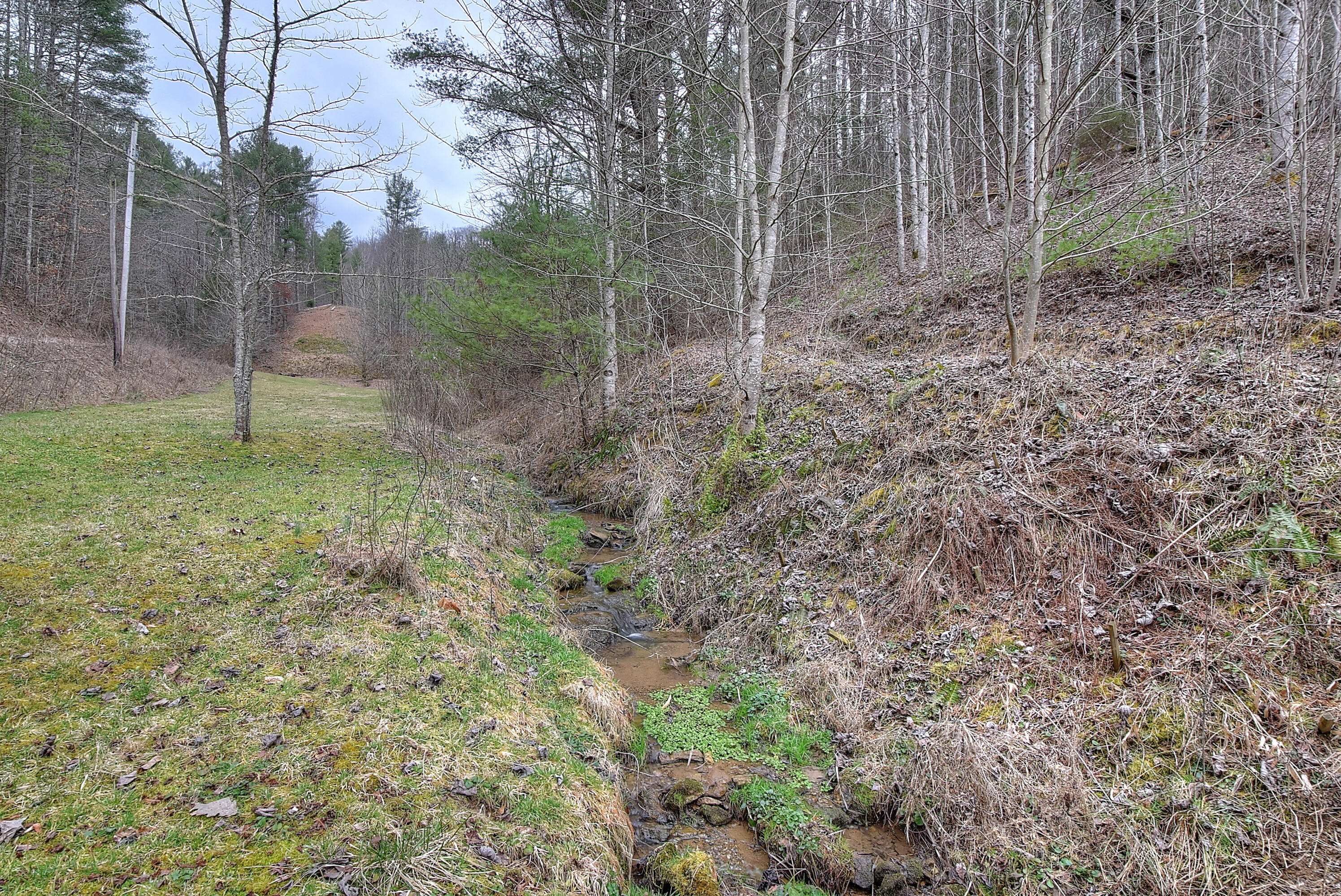 468 Coffee Ridge Road Erwin, TN 37650 - Photo 75 of 79 DSC_0952_3_4_5_6_7
