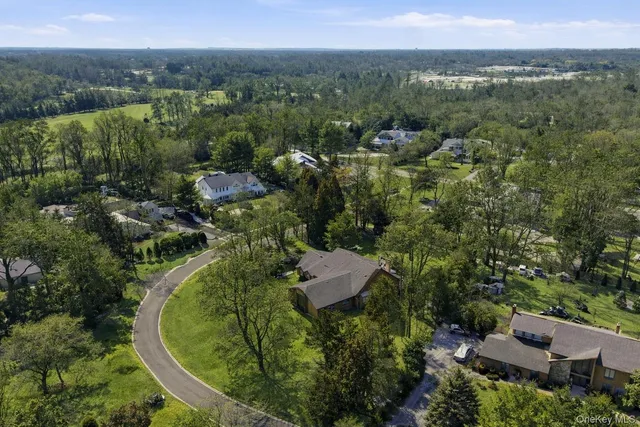 a view of a city with lush green forest