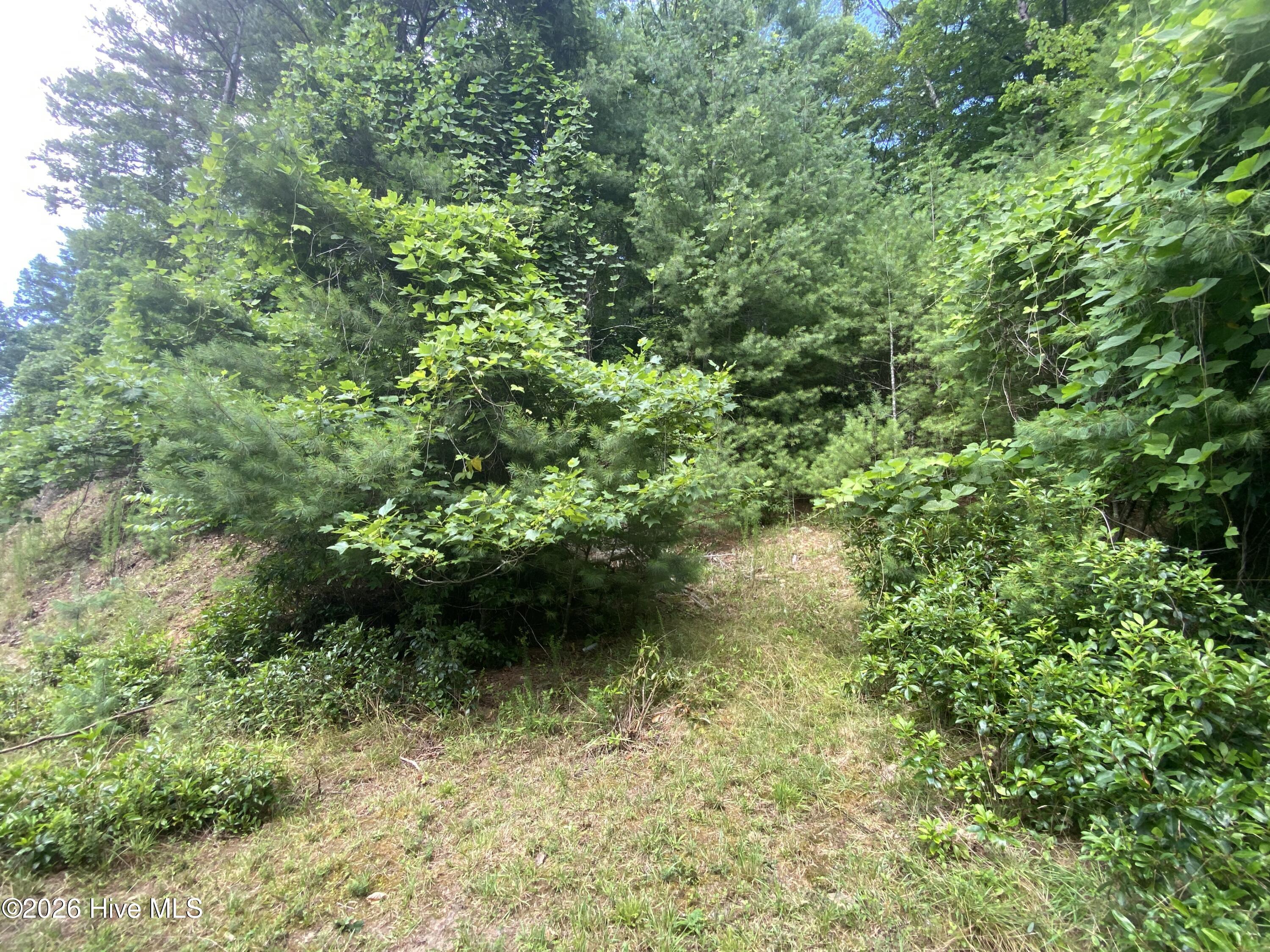 367 Chastain Road Murphy, NC 28906 - Photo 6 of 12