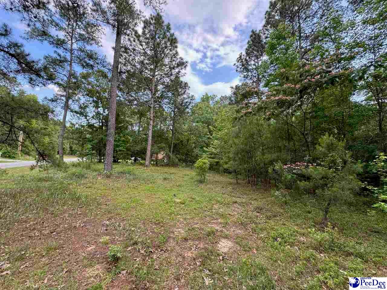 2139 Moccasin Bluff Road Hamer, SC 29547 - Photo 4 of 10 Gallery Image 4