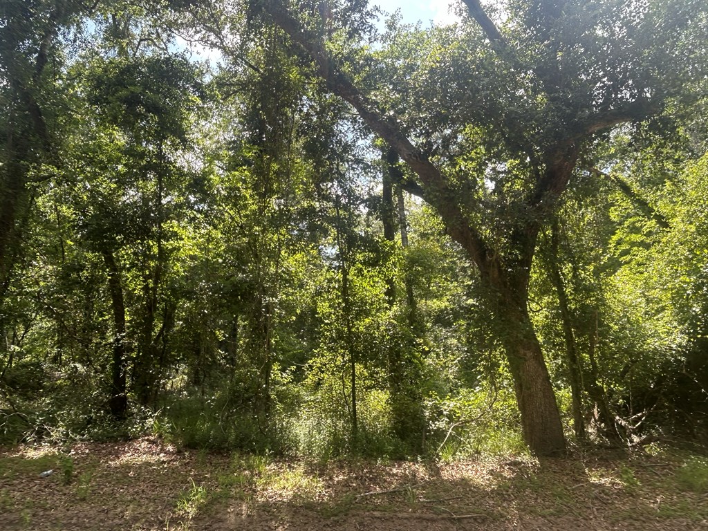 19.16-ac 19.16-ac Ramer Loop Cottonwood, AL 36320 - Photo 23 of 34