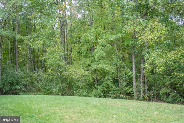 73 Village Grove Road Fredericksburg, VA 22406 - Photo 34 of 34 Lush greenery meets serene tranquility.