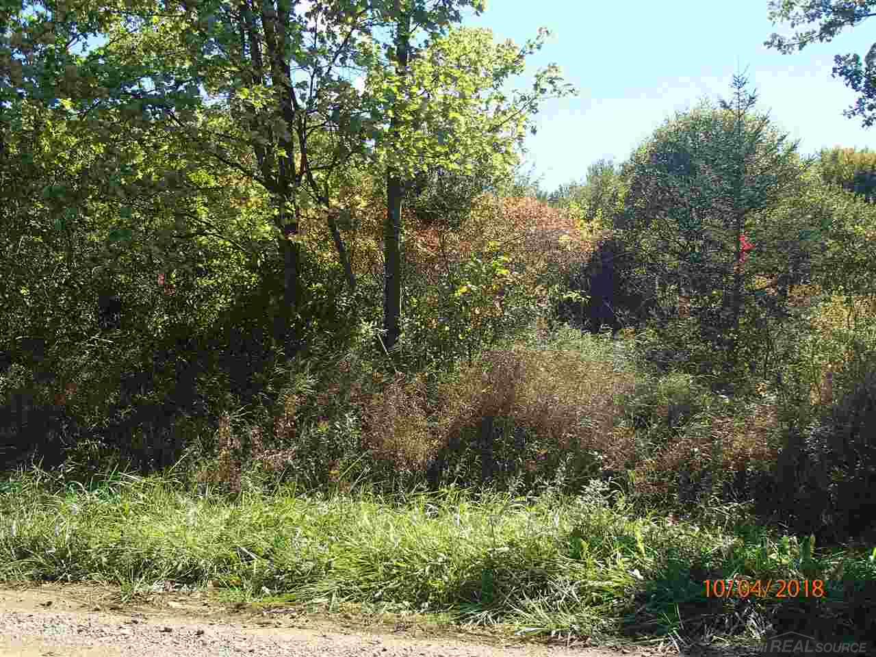 Townhall Road Melvin, MI 48454 - Photo 2 of 6