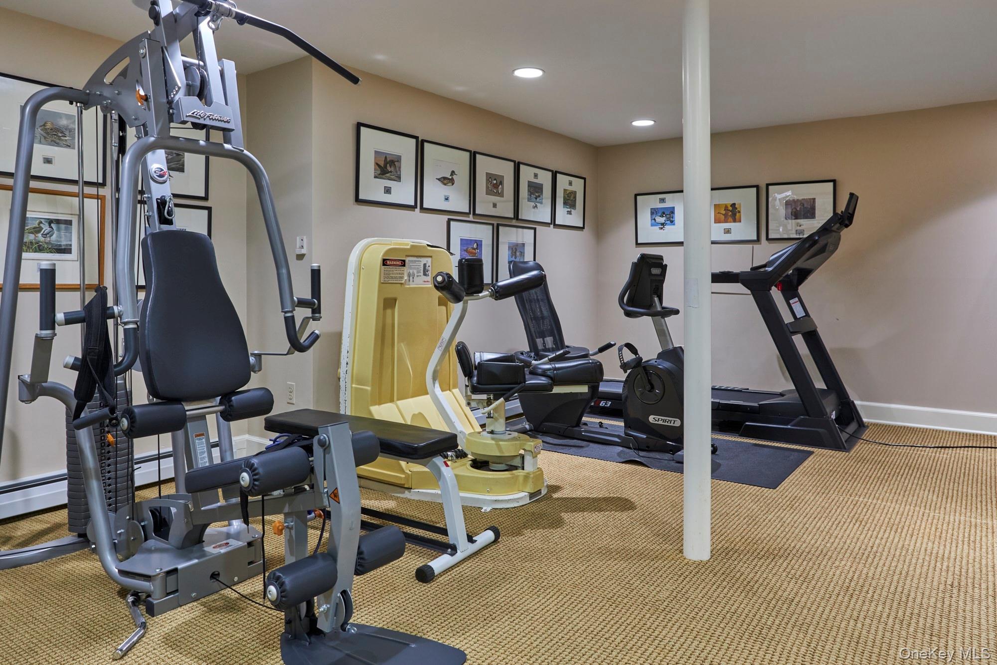 790 Stanford Road Millbrook, NY 12545 - Photo 40 of 50 a view of a room with gym equipment
