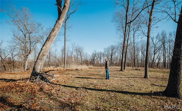 $212,000 | 46.53-ac Tbd 46.53-ac Tbd Highway, Versailles, MO 65084