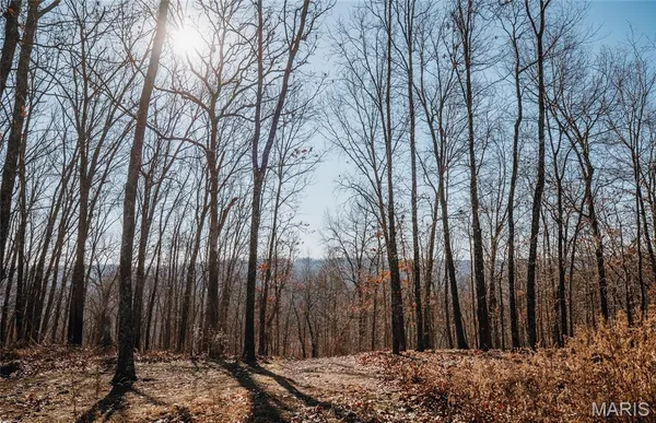 $212,000 | 46.53-ac Tbd 46.53-ac Tbd Highway, Versailles, MO 65084