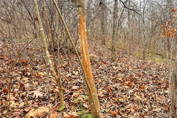 $212,000 | 46.53-ac Tbd 46.53-ac Tbd Highway, Versailles, MO 65084