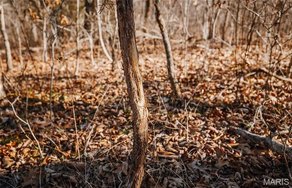 $212,000 | 46.53-ac Tbd 46.53-ac Tbd Highway, Versailles, MO 65084